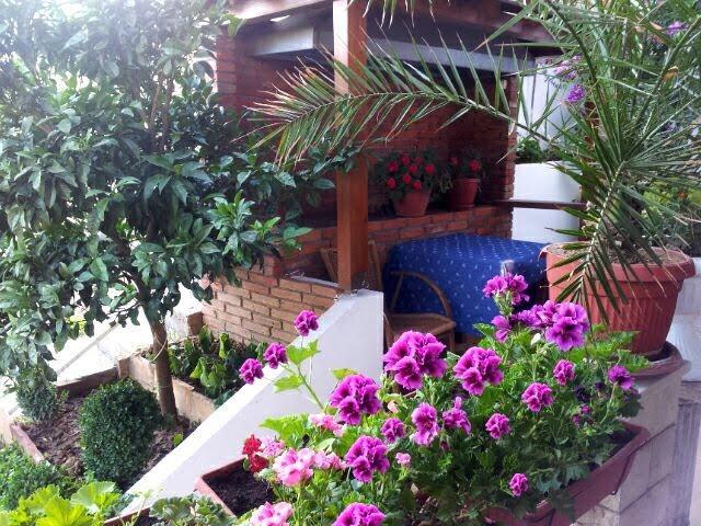 Firenze Apartments Ulcinj Buitenkant foto